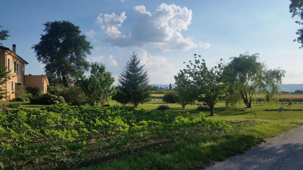 B&B Le Rose Spello Exterior photo